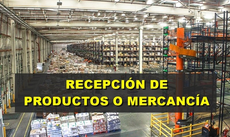 Recepción de Productos y Mercancías Procedimientos