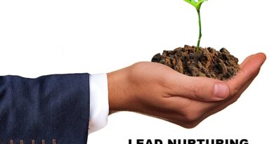 Una mano sosteniendo una planta germinada como símil de aplicar estrategias de lead nurturing