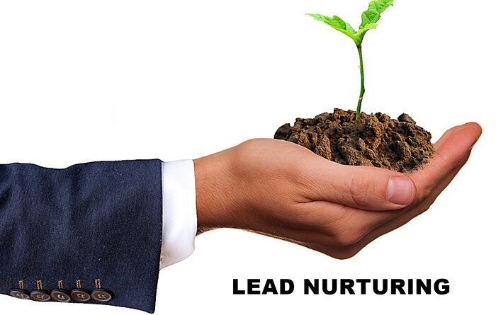 Una mano sosteniendo una planta germinada como símil de aplicar estrategias de lead nurturing