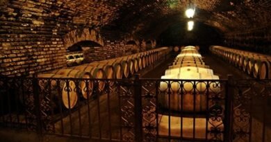 Mitologías y narrativas mágicas en el marketing del vino