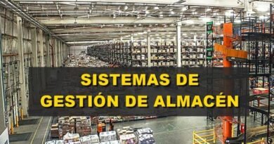 Qué es WMS