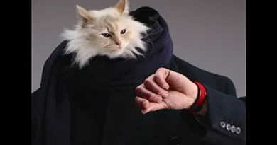 gata Karl Lagerfeld Hublot