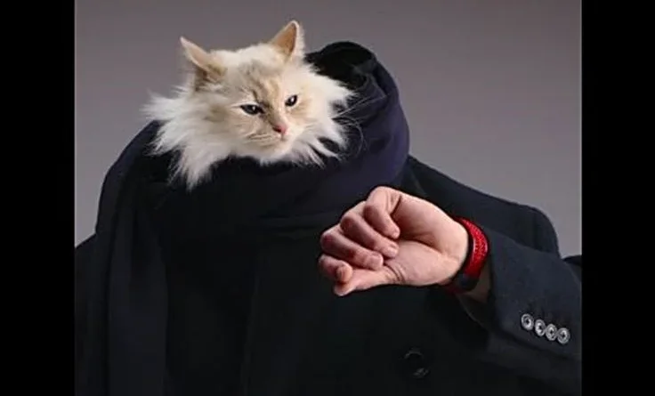 gata Karl Lagerfeld Hublot