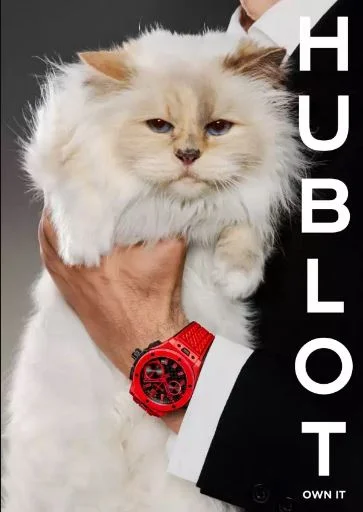 CHOUPETTE gata Karl Lagerfeld Hublot